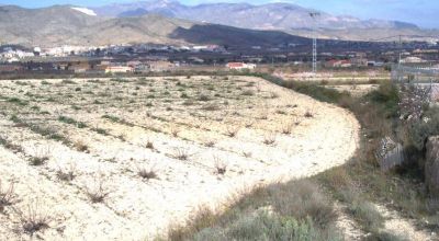 Land - Sale - Hondon de los Frailes - Hondon de los Frailes