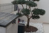 Sale - Villa - Algorfa - 