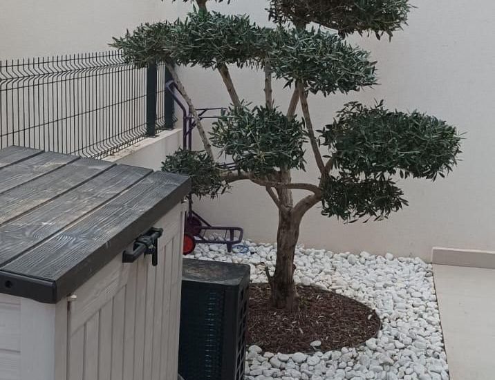 Sale - Villa - Algorfa - 