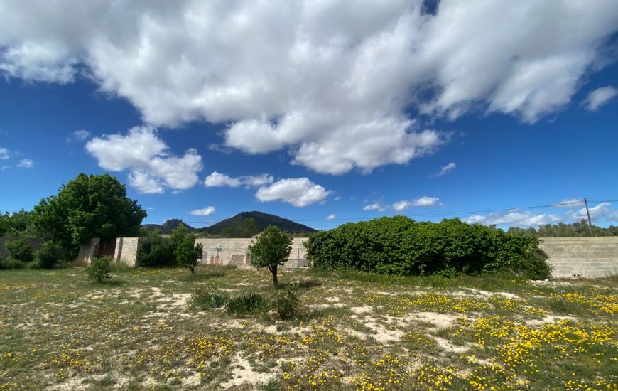 Sale - Finca - Sax