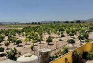 Venta - Apartamentos - Orihuela