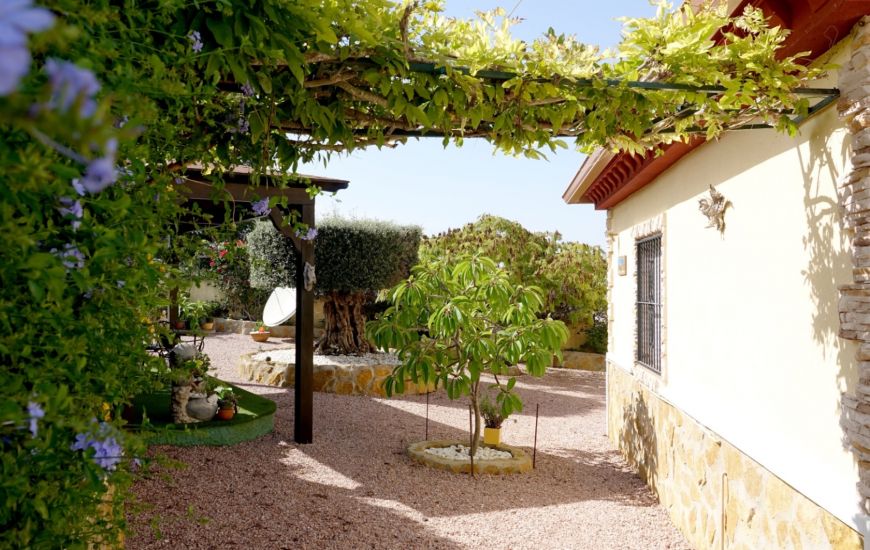 Sale - Villa - Ciudad Quesada