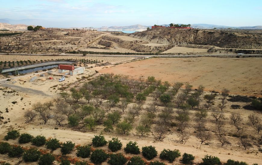 Sale - Land - Torremendo