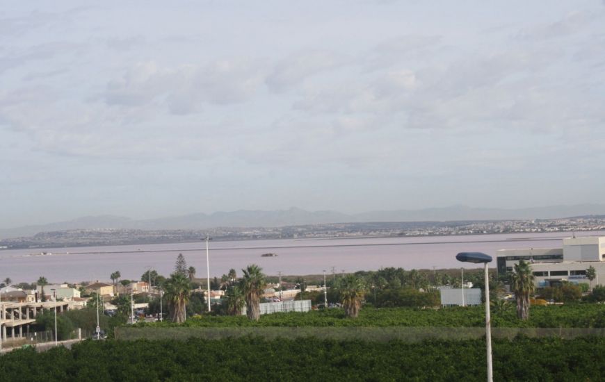 Nueva construcción  - Adosado - Torrevieja