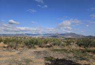 Sale - Country Property - Monovar