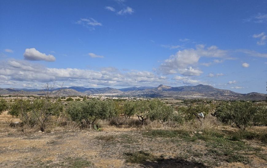 Sale - Country Property - Monovar