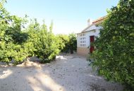 Sale - Finca - Crevillente