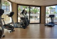 Sale - Apartments - 