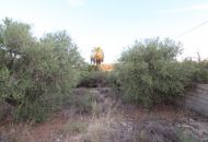 Sale - Finca - Elche