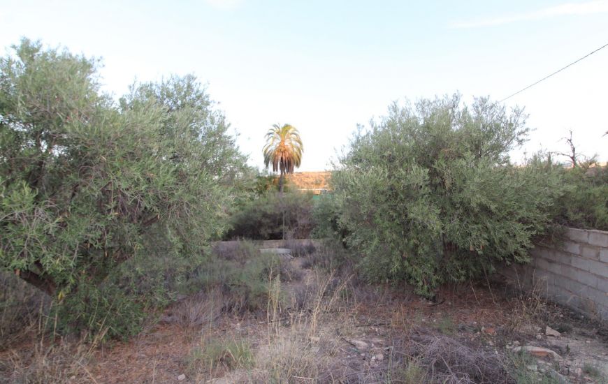 Sale - Finca - Elche