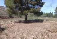 Venta - Casa Rural - Aspe