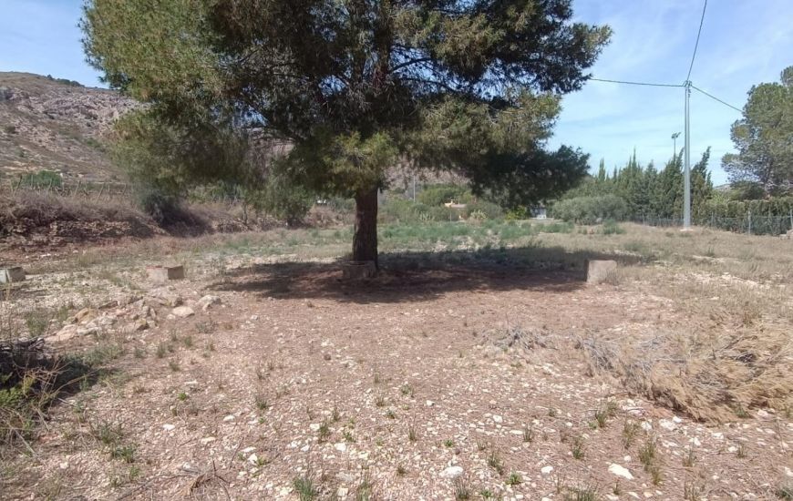 Venta - Casa Rural - Aspe