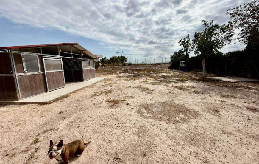 Venta - Casa Rural - San Fulgencio