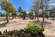 Sale - Villa - El Raso