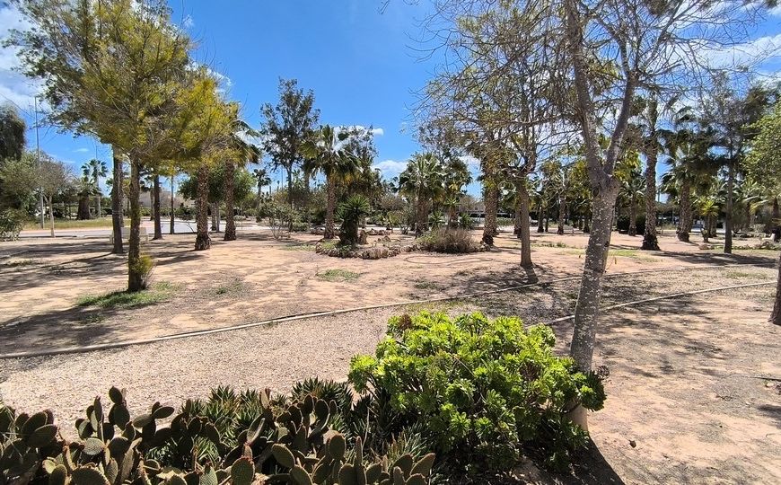 Sale - Villa - El Raso