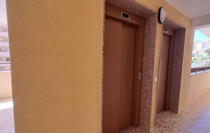 Venta - Apartamentos - La Mata