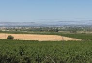 Sale - Villa - Algorfa - 