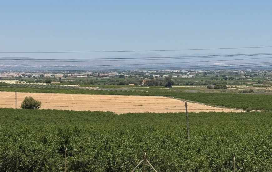 Sale - Villa - Algorfa - 