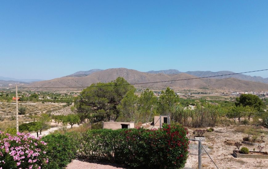 Sale - Villa - Hondon de los Frailes