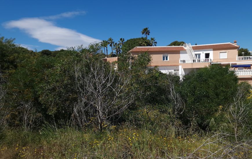 Venta - Building Plot - Torrevieja