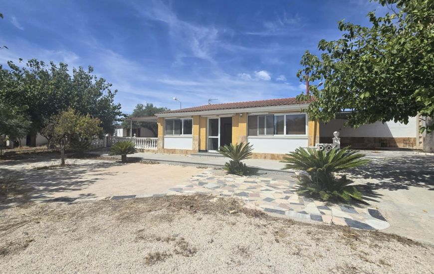 Sale - Finca - Monforte del Cid