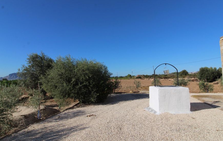 Sale - Finca - Crevillente