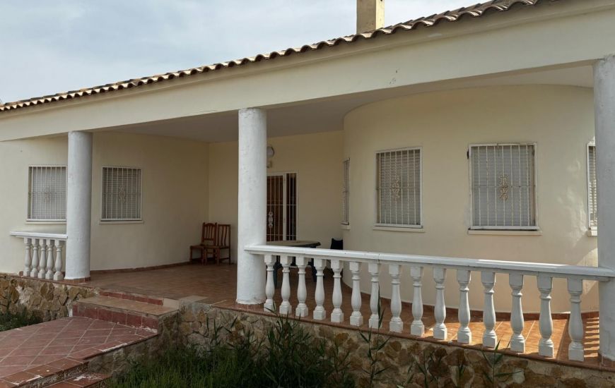 Sale - Finca - Callosa de Segura