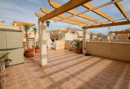 Sale -  - San Miguel de Salinas - 