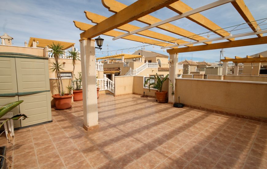 Sale -  - San Miguel de Salinas - 