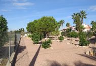 Sale - Finca - Daya Vieja