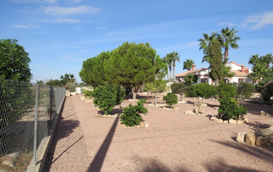 Sale - Finca - Daya Vieja