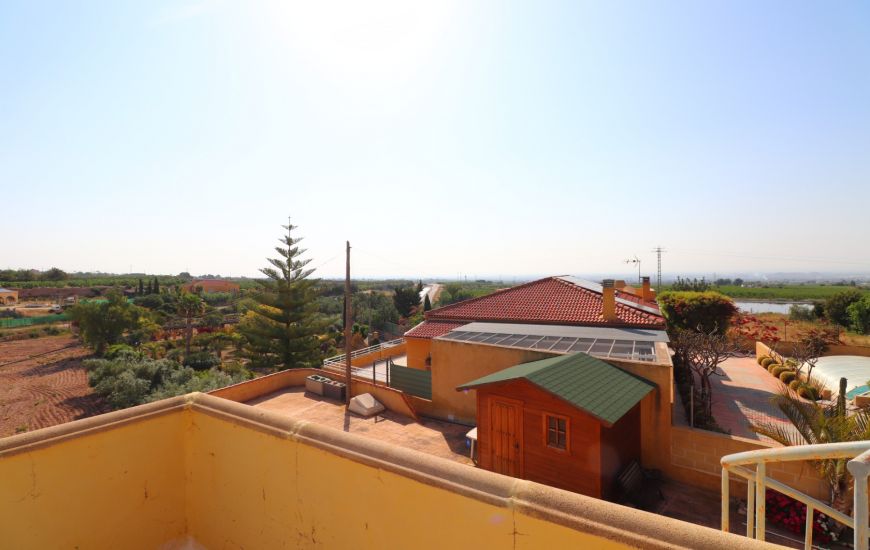 Sale - Finca - Albatera