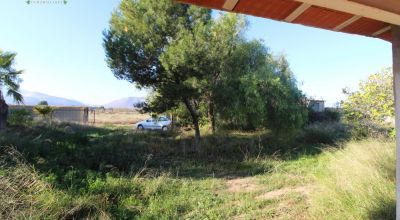 Casa Rural - Venta - Aspe - Aspe