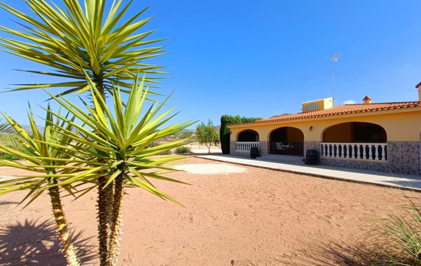 Venta - Casa Rural - Aspe