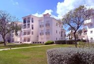 Sale - Apartments - Sucina