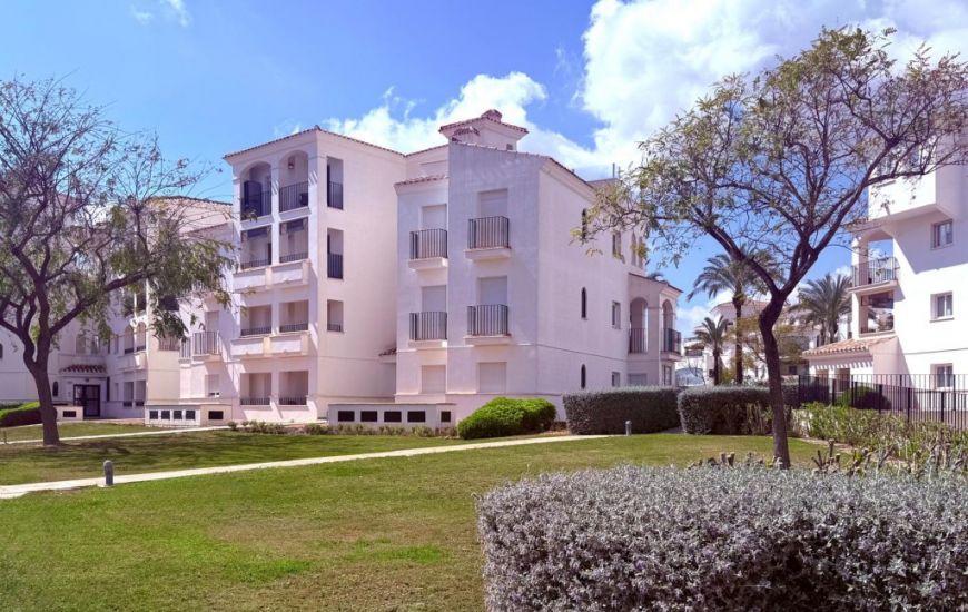 Sale - Apartments - Sucina