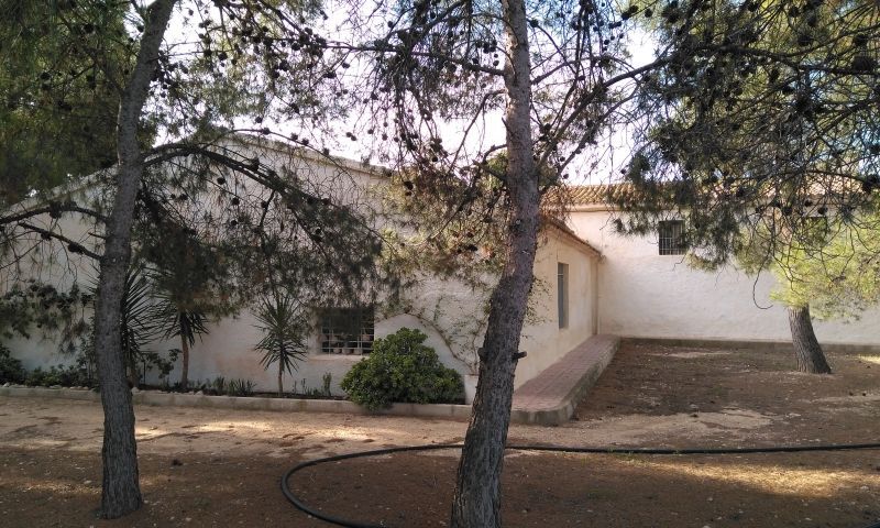 Sale - Finca - Aspe