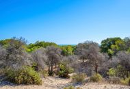 Venta - Apartamentos - Guardamar del Segura