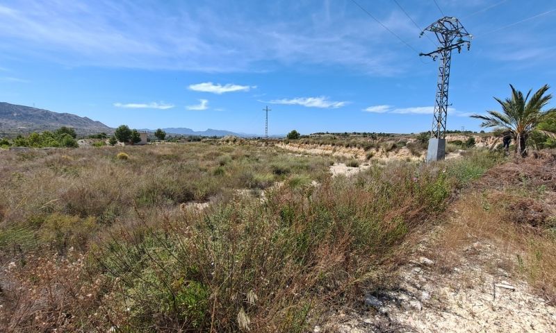 Sale - Land - Abanilla