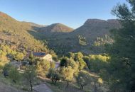 Venta - Apartamentos - 