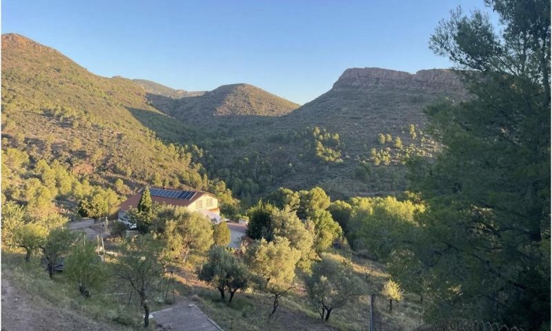 Venta - Apartamentos - 