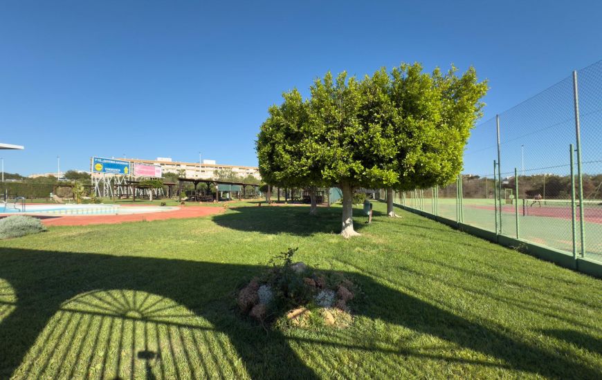Sale -  - Torrevieja - 