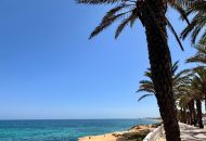 Sale - Apartments - Pilar de la Horadada