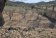 Venta - Terreno - Hondón de las Nieves