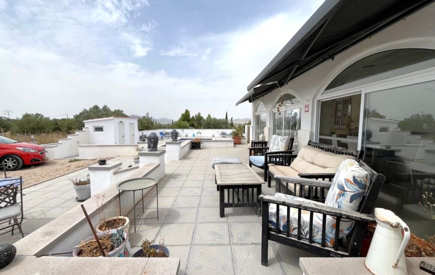 Sale - Finca - Sax