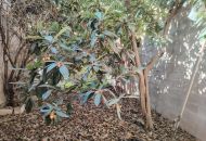 Sale - Rijtjeshuis - Pinoso