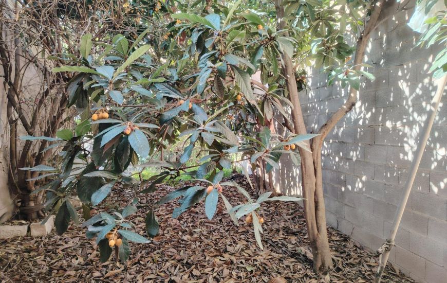 Sale - Rijtjeshuis - Pinoso