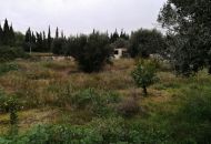Sale - Country Property - Crevillente
