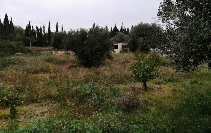 Sale - Country Property - Crevillente