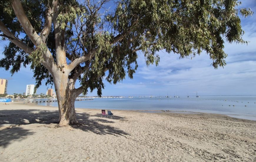 Venta - Casa Adosada - Santiago de La Ribera